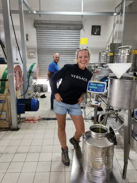 Spaß beim Erzeugen von italienische Gelassenheit bei der Olivenarbeit